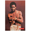 Supreme Al Green Aufkleber