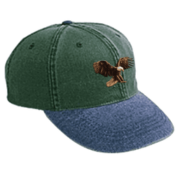 Travis Scott Birds in the Trap Bird Washed Denim Hat Green