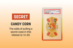 GradedGuard Trick or Treat (PSA) Pokémon Graded Card Holder Sealed Mystery Box - Image 4