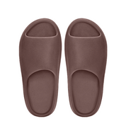 Pair of brown slippers on a white background